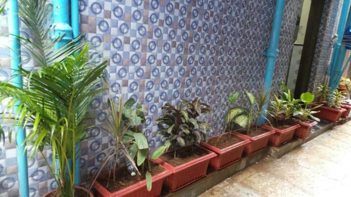 New Metro Guest House - Mumbai — Photos 1